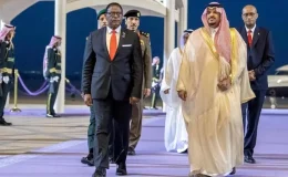 Kenya ve Nijerya Cumhurbaşkanları, sık seyahatleriyle eleştiriliyor